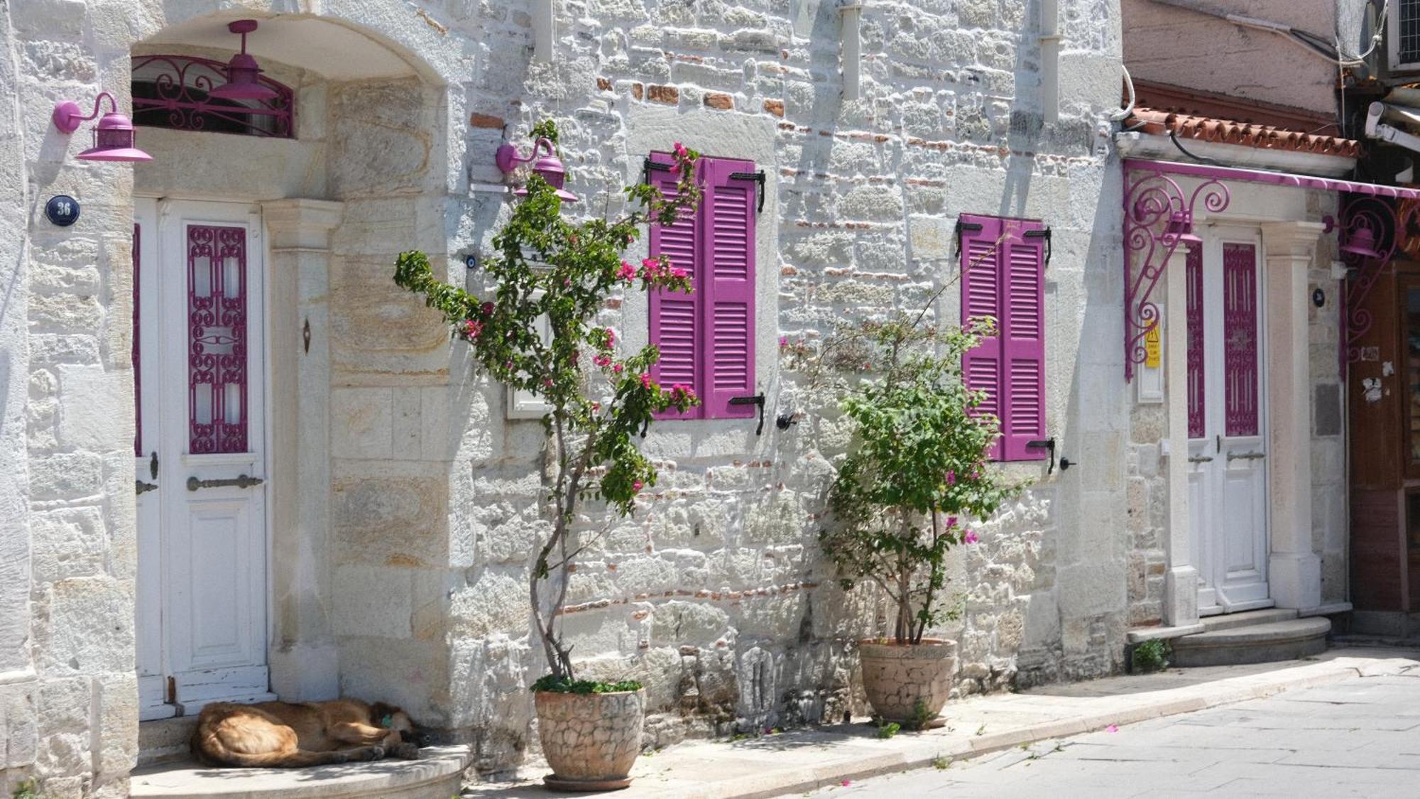 Mi Amor Phokaia Foça Exterior foto